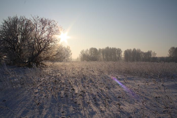 Морозное утро