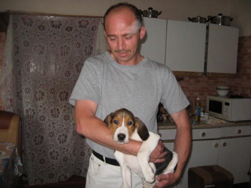 Звонок в Красный Яр Н.С.О.