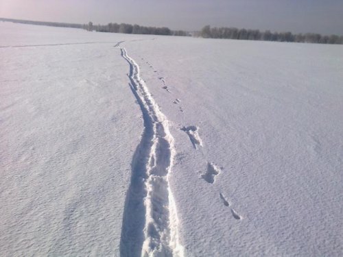 Закрытие охоты!Или простое охотничье счастье!