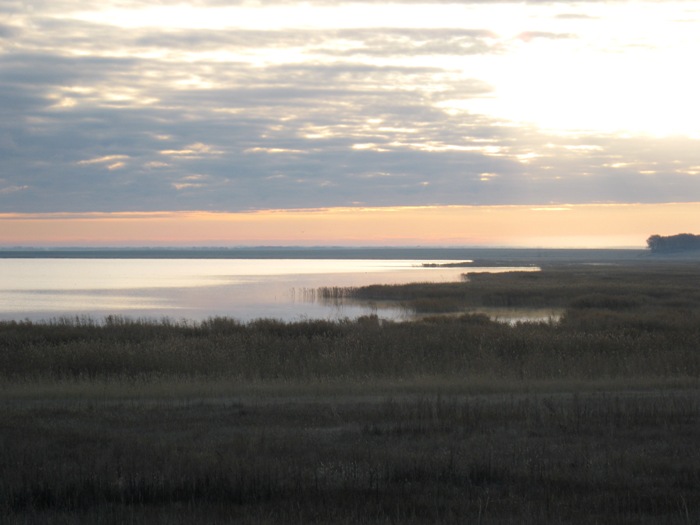 Утро.