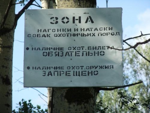 Зона натаски собак
