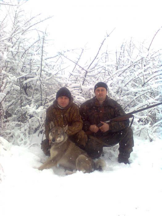 Алтай и первый снег