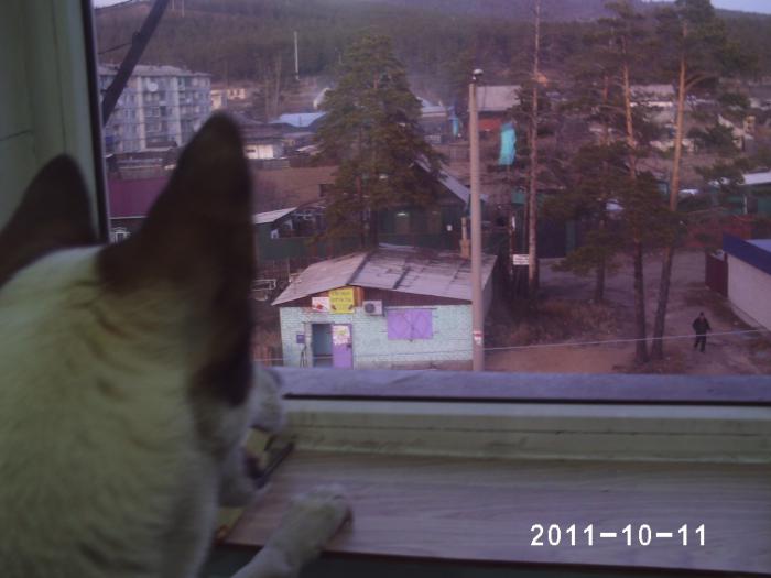скорее бы на охоту...