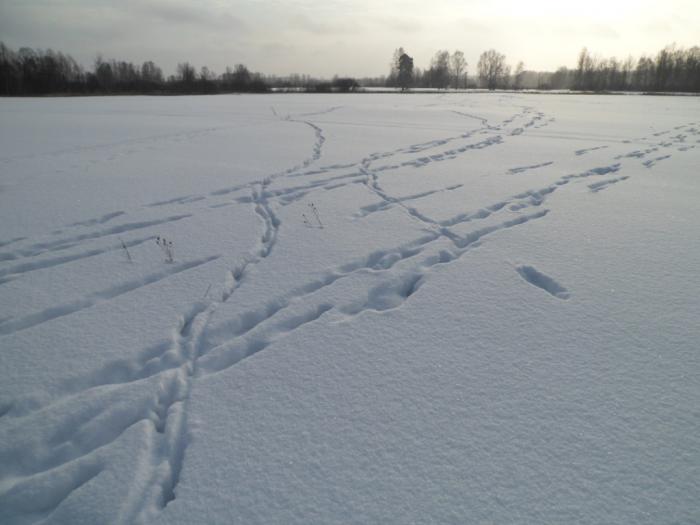 Переход