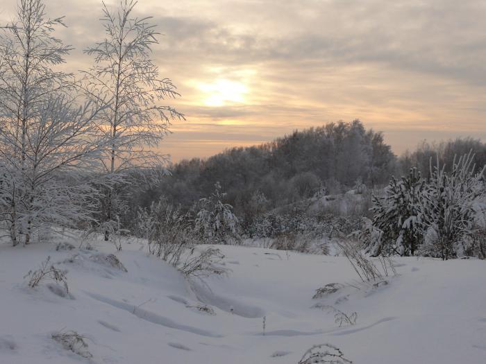 морозное безмолвие