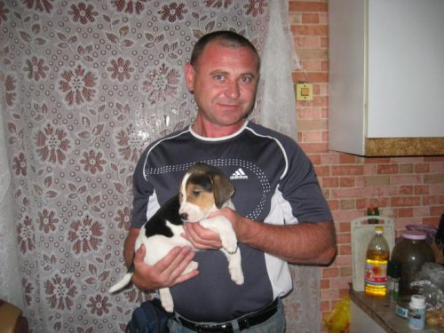 Задор в Новокузнецк.