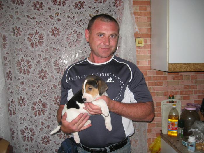 Задор в Новокузнецк.