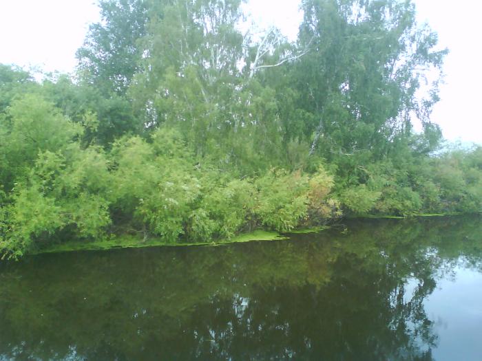 красота