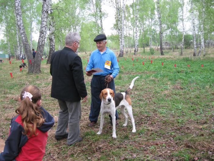 Гобой вл.Дёмин Д.П.