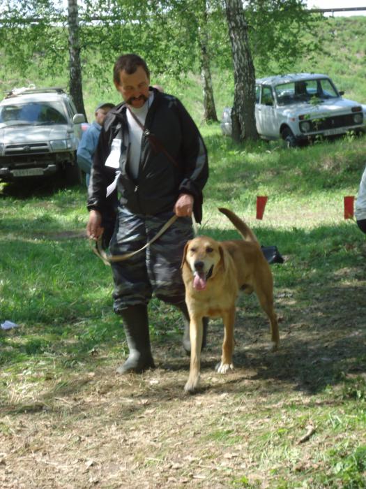 власович
