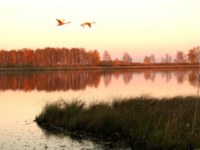 Осень