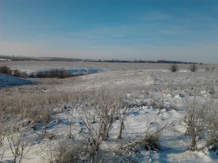 Курская область