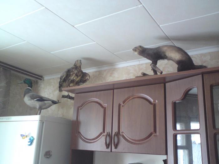 трофейчики