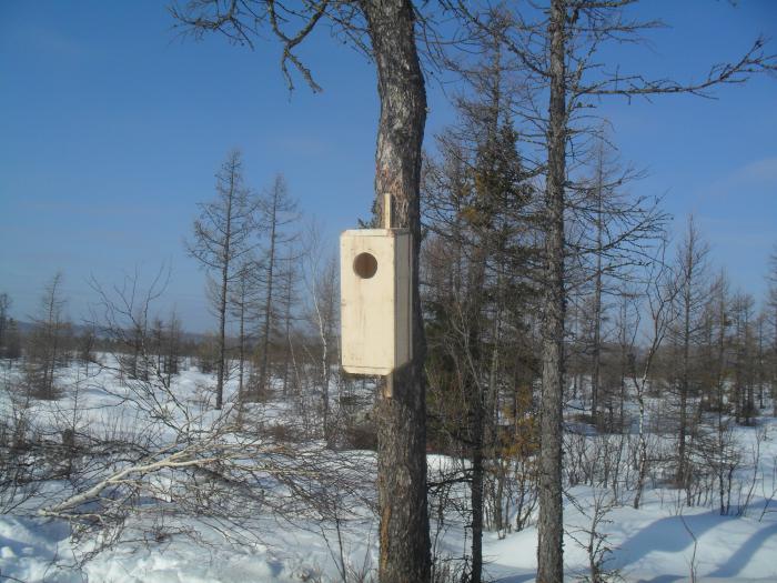 в оконцовке