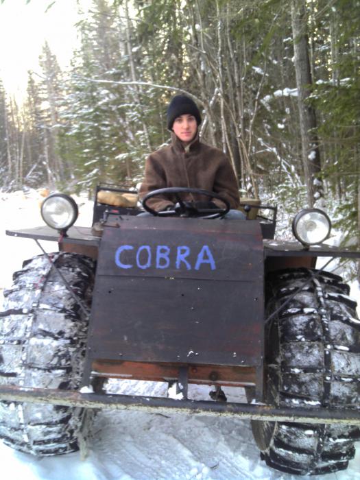 кобра