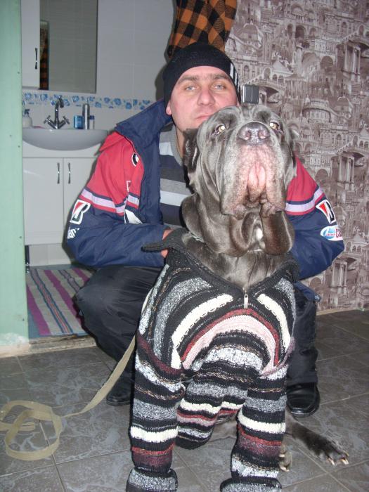 охотница))).