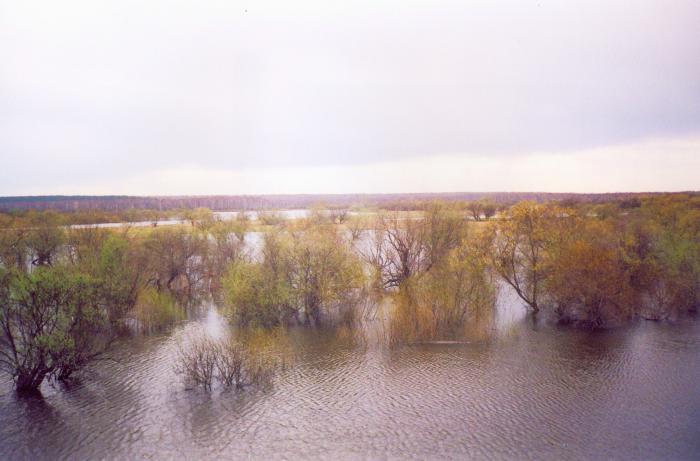 Разлив р. Иня.