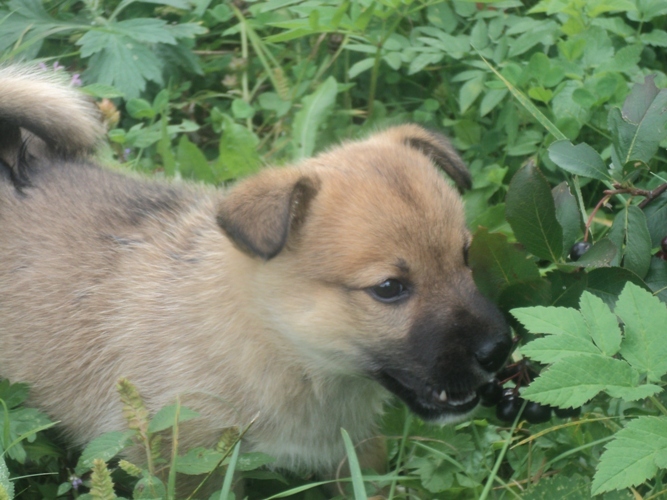 Яков.1месяц