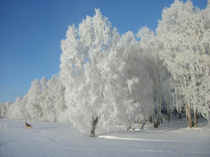 Россия матушка фото