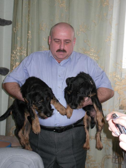 Фима и Рой.