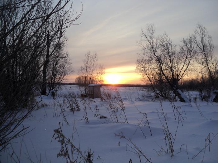 рассвет 2