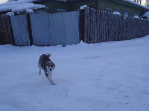 ЛАт
