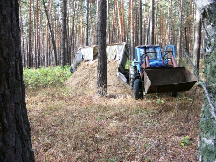 Подкормка копытных,