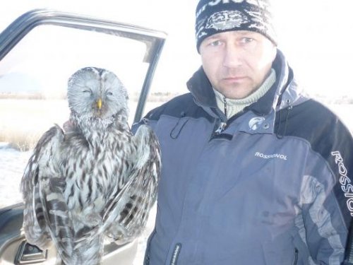 нашёл сегодня на трассе