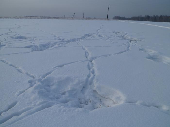 Лежали