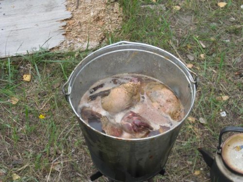 будуший шулюмчик.