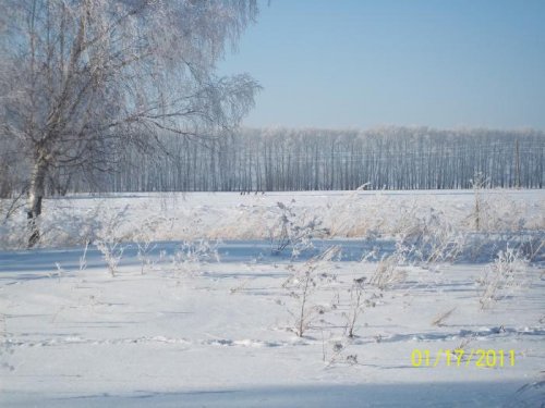 Косульки 