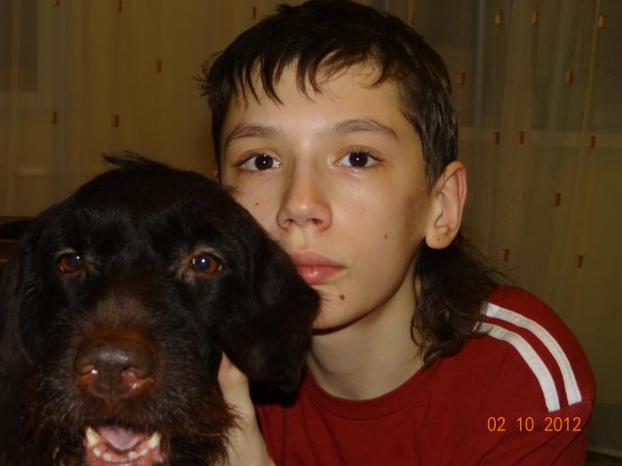 Друзья