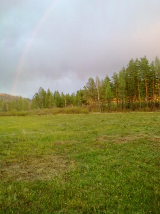 Пейзаж на покосе  