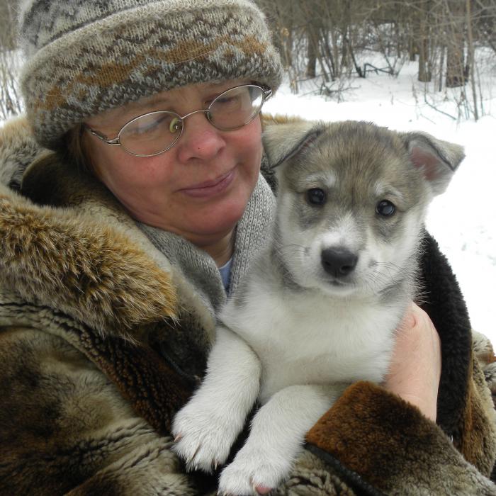 Опять Щенки (Лея)