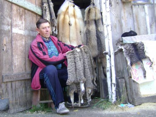 Мех кошачьих на ,что стоит тоже обратить внимание...