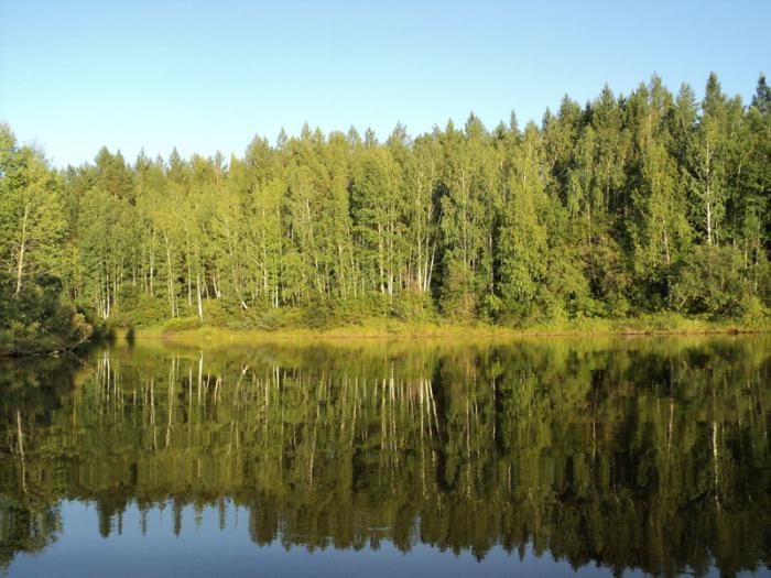 Красота