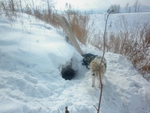 Паполнение в нашей шейке.