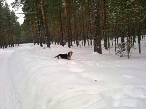 а мне гулять охота....