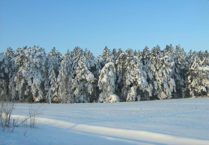 Красиво