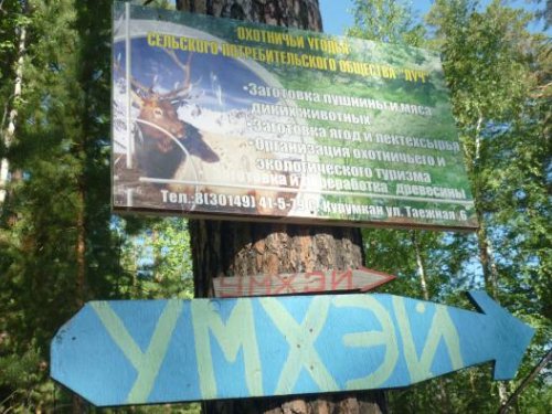 а сюда ныряет ПУТИН...