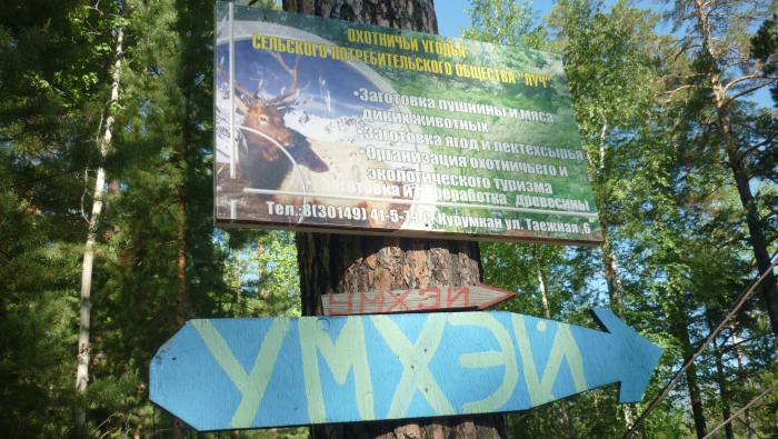 а сюда ныряет ПУТИН...