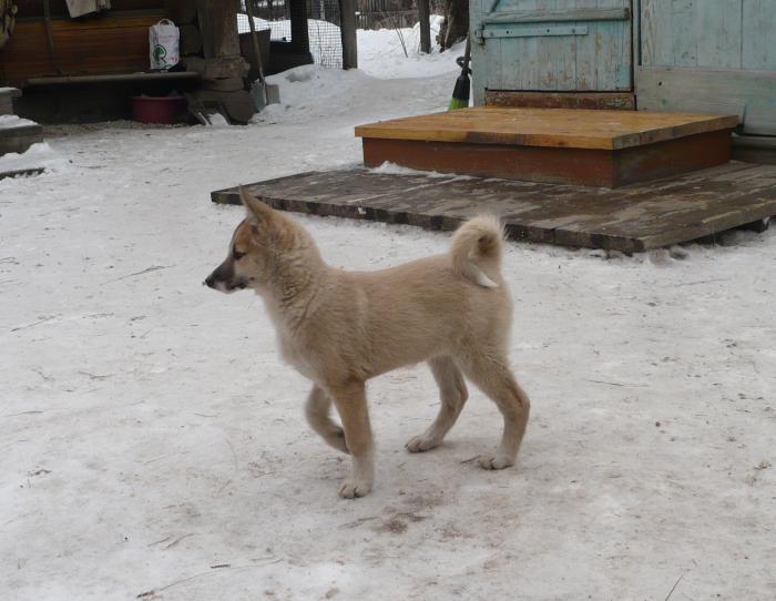 Уба 2,5 мес