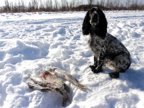 В межсезонье