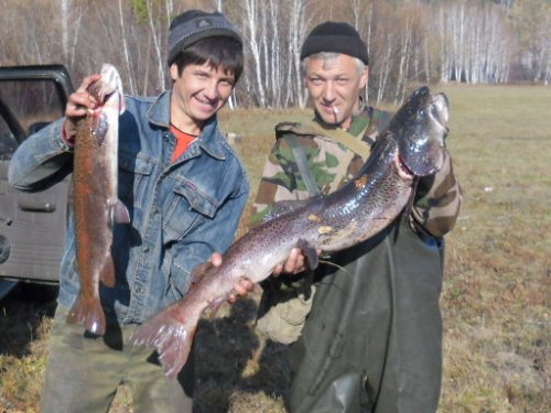 Гигант сибирских рек .