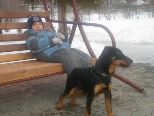 Сынишка пса своего выгуливает.