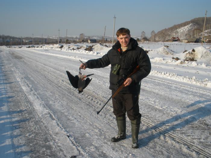истребление воронья