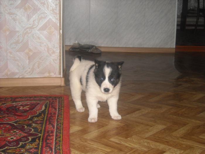 1месяц10д
