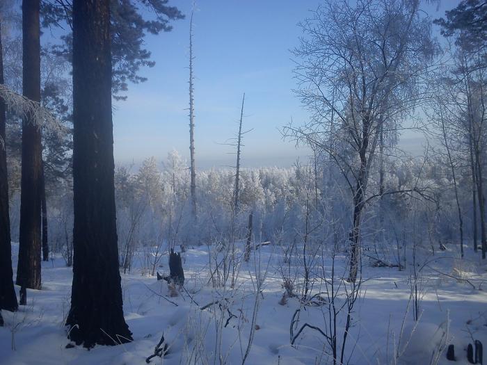 Красота