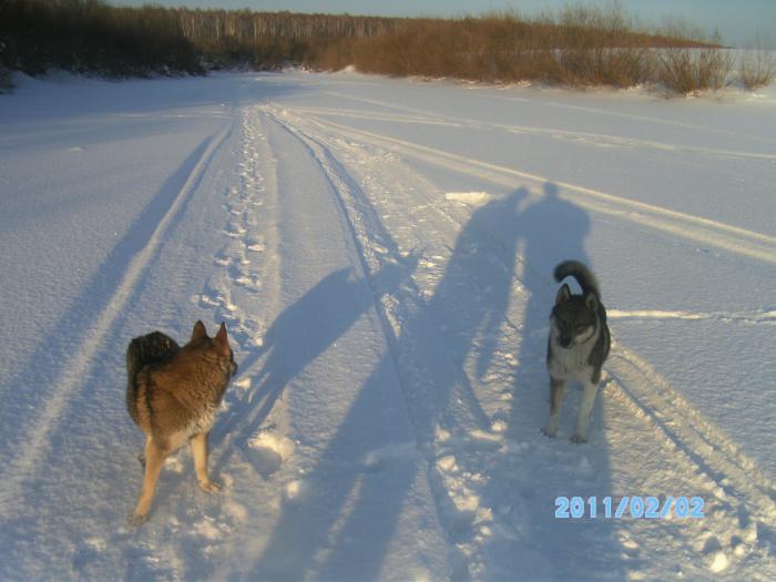 молодеж
