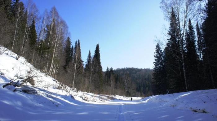  6 часов без остановки.